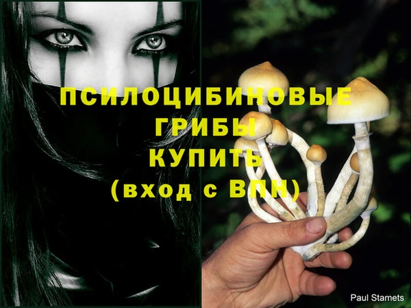 экстази Алексин