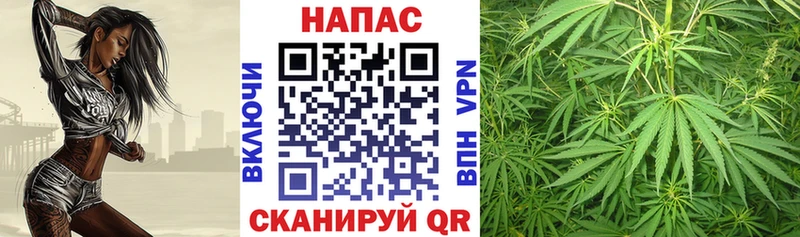 Купить где  Терек  Канабис планчик 